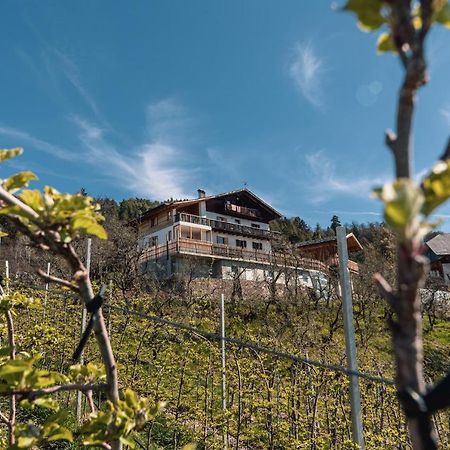 Malgorerhof Lavendel San Genesio Atesino Exterior foto